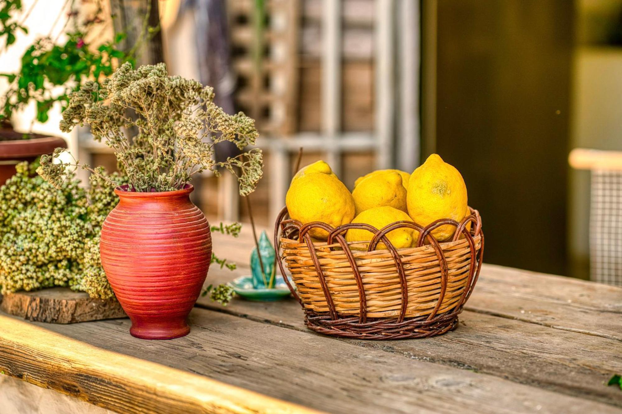Akti Argo Farm stay Palaiokastro (Crete)