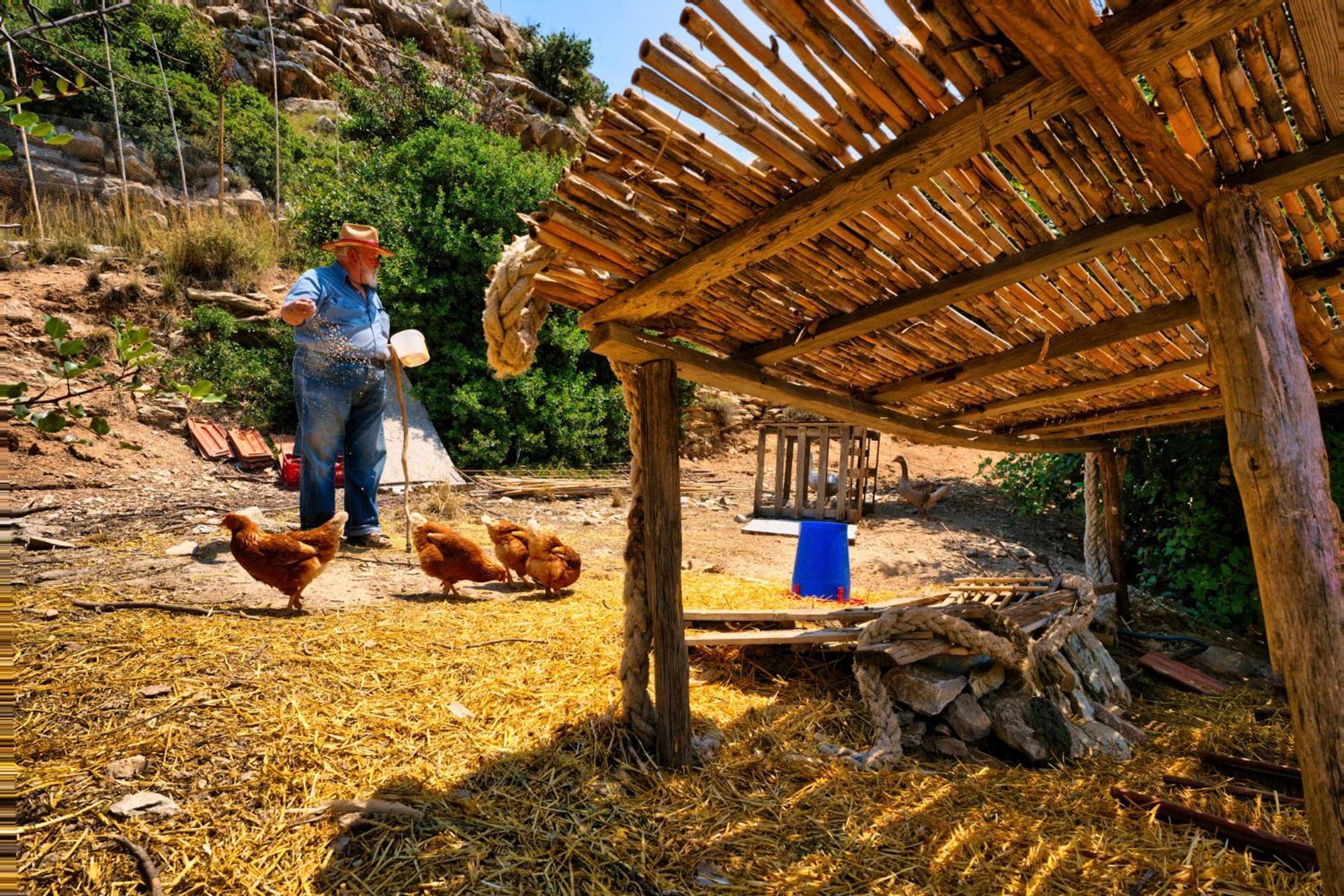 Akti Argo Farm stay *